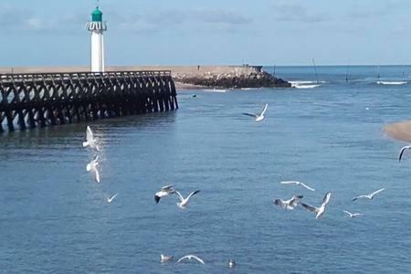 Le Capitaine Jack Lejlighed Trouville-sur-Mer Eksteriør billede